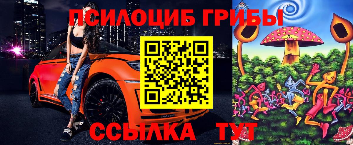Каменск-Шахтинский  Галлюциногенные грибы Magic Shrooms  Псилоцибиновые грибы прущие грибы  наркота  Вход с VPN 
