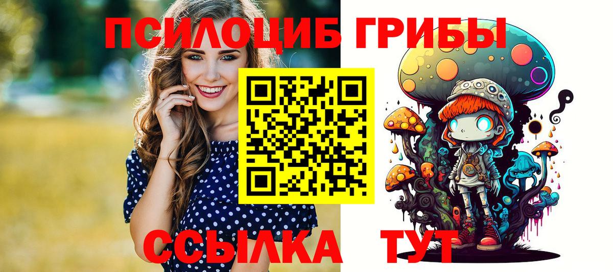 Псилоцибиновые грибы Cubensis Каменск-Шахтинский